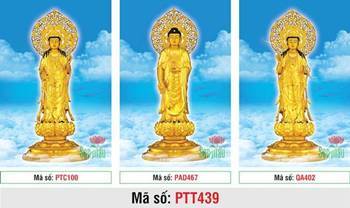 Tranh Tây Phương Tam Thánh A Di Đà Phật PTT439, tượng vàng mây xanh Tranh Tây Phương Tam Thánh A Di Đà Phật PTT439, tượng vàng mây xanh