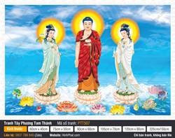 Tranh Tây Phương Tam Thánh A Di Đà Phật PTT507
