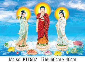 Tranh Tây Phương Tam Thánh A Di Đà Phật PTT507, Ngự Biển Mây
