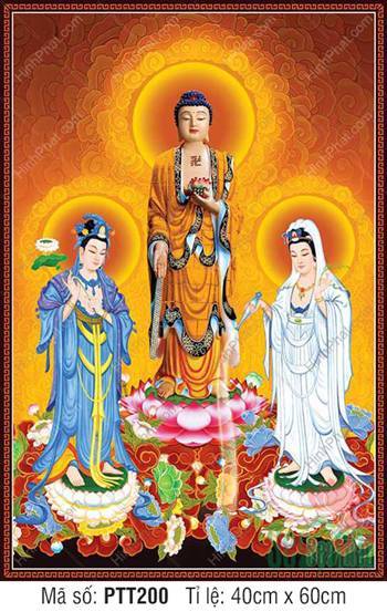 Tranh Tây Phương Tam Thánh Chất Lượng Cao PTT200, ba vị ngự tòa sen hồng Tranh Tây Phương Tam Thánh Chất Lượng Cao PTT200, ba vị ngự tòa sen hồng