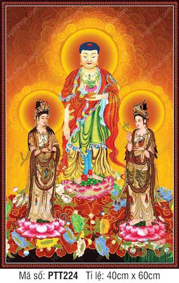Tranh Tây Phương Tam Thánh Chất Lượng Cao PTT224, nét vẽ uy nghiêm Tranh Tây Phương Tam Thánh Chất Lượng Cao PTT224, nét vẽ uy nghiêm