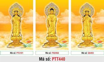 Tranh Tây Phương Tam Thánh Chất Lượng Cao PTT440, tượng vàng nền mây Tranh Tây Phương Tam Thánh Chất Lượng Cao PTT440, tượng vàng nền mây