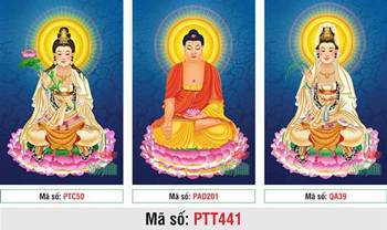 Tranh Tây Phương Tam Thánh Đẹp PTT441, bộ ba vị Phật ngự đài sen Tranh Tây Phương Tam Thánh Đẹp PTT441, bộ ba vị Phật ngự đài sen
