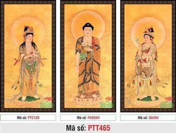 Tranh Tây Phương Tam Thánh Đẹp PTT465, bộ ba tôn tượng tách rời Tranh Tây Phương Tam Thánh Đẹp PTT465, bộ ba tôn tượng tách rời