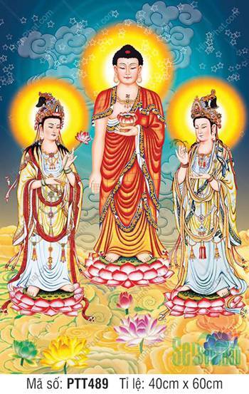 Tranh Tây Phương Tam Thánh Đẹp PTT489, Phật A Di Đà Cầm Sen