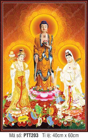 Tranh Tây Phương Tam Thánh Khổ Lớn PTT203, sắc vàng trang nghiêm Tranh Tây Phương Tam Thánh Khổ Lớn PTT203, sắc vàng trang nghiêm