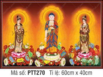 Tranh Tây Phương Tam Thánh PTT270, diện tượng trang nghiêm