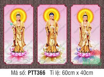 Tranh Tây Phương Tam Thánh PTT366, Ba Bức Ghép Y Vàng Đài Sen