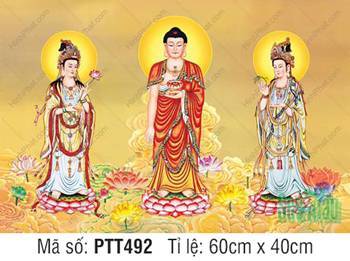 Tranh Tây Phương Tam Thánh PTT492, Tôn Tượng Đứng Đài Sen