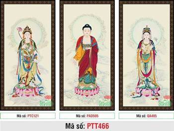 Tranh Tây Phương Tam Thánh đẹp nhất PTT466, bộ 3 tấm đứng Tranh Tây Phương Tam Thánh đẹp nhất PTT466, bộ 3 tấm đứng