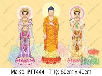 Tranh Tây Phương Tam Thánh kích thước lớn PTT444, tư thế đứng trang nghiêm Tranh Tây Phương Tam Thánh kích thước lớn PTT444, tư thế đứng trang nghiêm