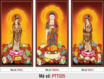 Tranh Tây Phương Tam Thánh size Lớn PTT325, sắc tướng từ bi rạng ngời Tranh Tây Phương Tam Thánh size Lớn PTT325, sắc tướng từ bi rạng ngời