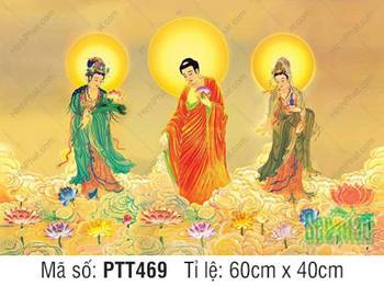 Tranh Tây Phương Tam Thánh size Lớn PTT469, nền mây vàng rực Tranh Tây Phương Tam Thánh size Lớn PTT469, nền mây vàng rực