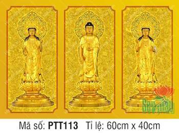 Hình Tây Phương Tam Thánh PTT113, ba tôn tượng ngự đài sen vàng Hình Tây Phương Tam Thánh PTT113, ba tôn tượng ngự đài sen vàng