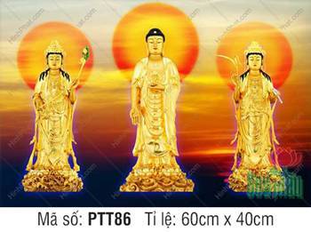 Hình Tây Phương Tam Thánh PTT86, tượng vàng nền hoàng hôn Hình Tây Phương Tam Thánh PTT86, tượng vàng nền hoàng hôn