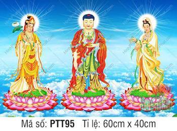 Hình Tây Phương Tam Thánh PTT95, hiển tọa trên đài sen hồng Hình Tây Phương Tam Thánh PTT95, hiển tọa trên đài sen hồng