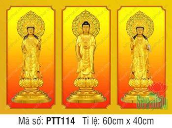 Hình Tây Phương Tam Thánh đẹp PTT114, sắc vàng uy nghiêm trên đài sen Hình Tây Phương Tam Thánh đẹp PTT114, sắc vàng uy nghiêm trên đài sen