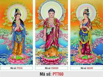 Hình Tây Phương Tam Thánh đẹp PTT60, bộ ba bức ngự liên hoa Hình Tây Phương Tam Thánh đẹp PTT60, bộ ba bức ngự liên hoa