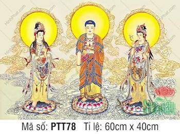 Hình Tây Phương Tam Thánh đẹp PTT78, ngự đài sen rực rỡ Hình Tây Phương Tam Thánh đẹp PTT78, ngự đài sen rực rỡ