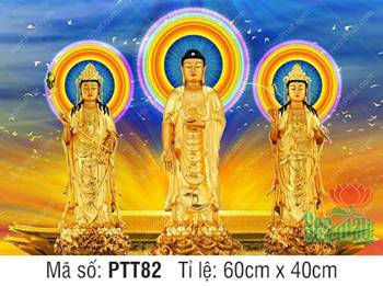 Hình Tây Phương Tam Thánh Khổ Lớn PTT82, hào quang ngũ sắc Hình Tây Phương Tam Thánh Khổ Lớn PTT82, hào quang ngũ sắc