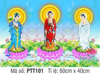 Hình Tây Phương Tam Thánh kích thước lớn PTT101, rạng ngời hồ sen Hình Tây Phương Tam Thánh kích thước lớn PTT101, rạng ngời hồ sen