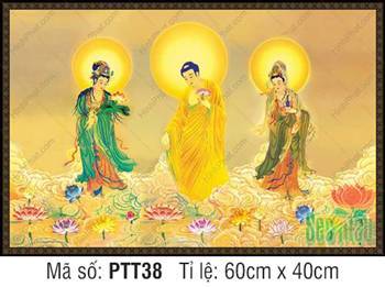 Hình Tây Phương Tam Thánh kích thước lớn PTT38 ngự mây vàng