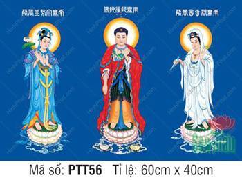 Hình Tây Phương Tam Thánh kích thước lớn PTT56, ngự sen nền xanh Hình Tây Phương Tam Thánh kích thước lớn PTT56, ngự sen nền xanh