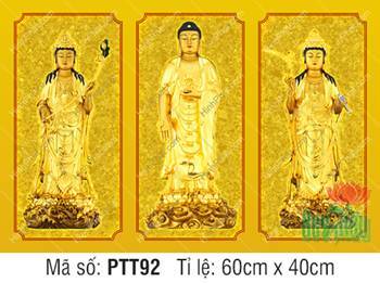 Hình Tây Phương Tam Thánh kích thước lớn PTT92, sắc vàng kim rực rỡ Hình Tây Phương Tam Thánh kích thước lớn PTT92, sắc vàng kim rực rỡ