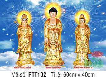 Tây Phương Tam Thánh PTT102, Tôn tượng vàng giữa bầu trời sao Tây Phương Tam Thánh PTT102, Tôn tượng vàng giữa bầu trời sao