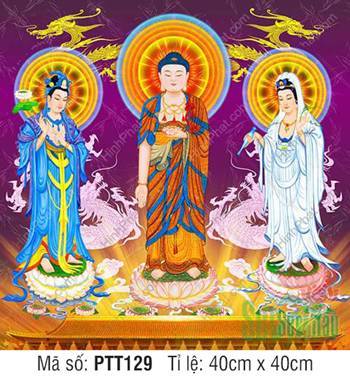 Tây Phương Tam Thánh PTT129, ba đức Phật ngự trên nền tím rồng vàng