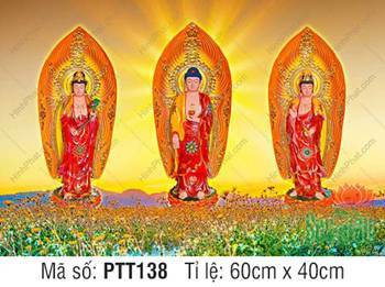Tây Phương Tam Thánh PTT138, ngự đài sen giữa đồng hoa