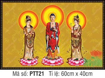 Tây Phương Tam Thánh PTT21, Ba Ngài đứng trên đài sen hồng