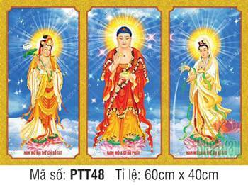 Tây Phương Tam Thánh PTT48, thiết kế khung viền vàng ba tấm Tây Phương Tam Thánh PTT48, thiết kế khung viền vàng ba tấm