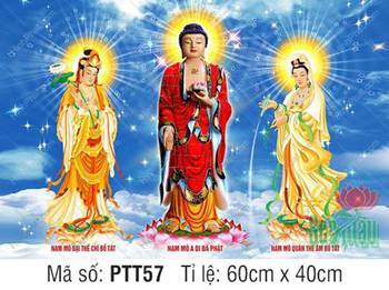 Tây Phương Tam Thánh PTT57, ba vị ngự đài sen hồng rực rỡ Tây Phương Tam Thánh PTT57, ba vị ngự đài sen hồng rực rỡ
