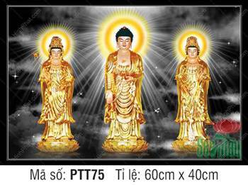Tây Phương Tam Thánh PTT75, tôn tượng y vàng kim rạng rỡ Tây Phương Tam Thánh PTT75, tôn tượng y vàng kim rạng rỡ