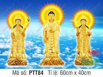 Tây Phương Tam Thánh PTT84, tượng vàng kim giữa biển mây Tây Phương Tam Thánh PTT84, tượng vàng kim giữa biển mây