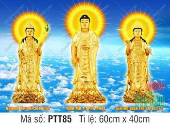 Tây Phương Tam Thánh Đẹp PTT85, tôn tượng vàng giữa biển mây Tây Phương Tam Thánh Đẹp PTT85, tôn tượng vàng giữa biển mây