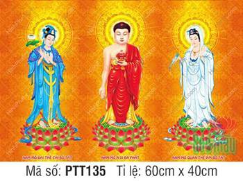 Tây Phương Tam Thánh Khổ Lớn PTT135, hiện tướng đứng trên đài sen