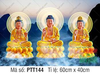 Tây Phương Tam Thánh Khổ Lớn PTT144, ba tôn tượng vàng tọa thiền