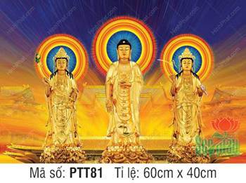 Tây Phương Tam Thánh Khổ Lớn PTT81, tượng vàng kim trước bảo điện Tây Phương Tam Thánh Khổ Lớn PTT81, tượng vàng kim trước bảo điện