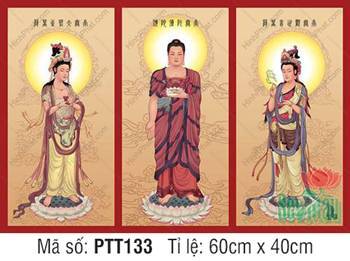Tranh Tây Phương Tam Thánh PTT133 trang nghiêm thanh tịnh