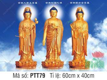 Tranh Tây Phương Tam Thánh PTT79, tôn tượng sắc vàng kim uy nghi Tranh Tây Phương Tam Thánh PTT79, tôn tượng sắc vàng kim uy nghi