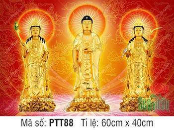Tranh Tây Phương Tam Thánh PTT88, tượng vàng nền rồng uy nghi Tranh Tây Phương Tam Thánh PTT88, tượng vàng nền rồng uy nghi