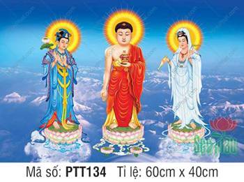 Tranh Tây Phương Tam Thánh Đẹp, ba vị ngự sen giữa trời
