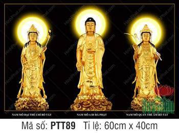 Tranh Tây Phương Tam Thánh Đẹp PTT89, tượng vàng trên nền đen Tranh Tây Phương Tam Thánh Đẹp PTT89, tượng vàng trên nền đen