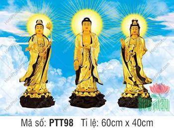 Tranh Tây Phương Tam Thánh Đẹp PTT98, tôn tượng vàng y phục đen Tranh Tây Phương Tam Thánh Đẹp PTT98, tôn tượng vàng y phục đen