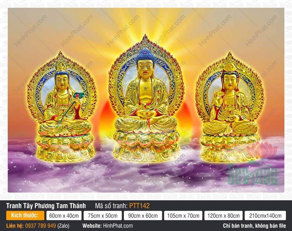 Tranh Tây Phương Tam Thánh PTT142 Tranh Tây Phương Tam Thánh PTT142 khắc họa ba tôn tượng mạ vàng tọa thiền trên đài sen