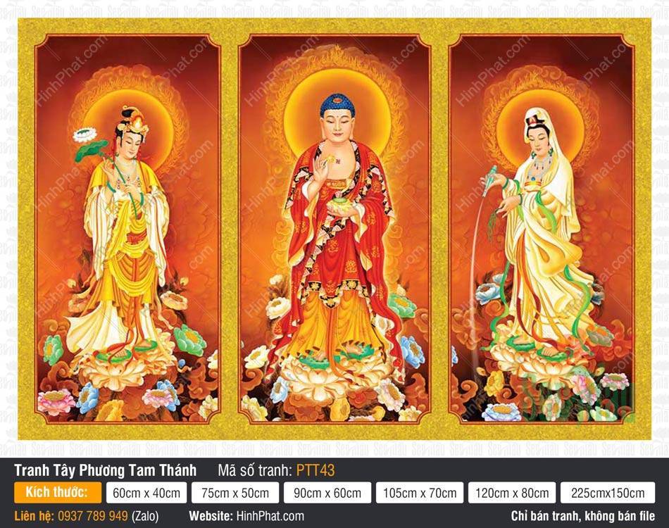 Tranh Tây Phương Tam Thánh PTT43 Tranh Tây Phương Tam Thánh PTT43 Phật A Di Đà y đỏ cùng hai vị Bồ Tát