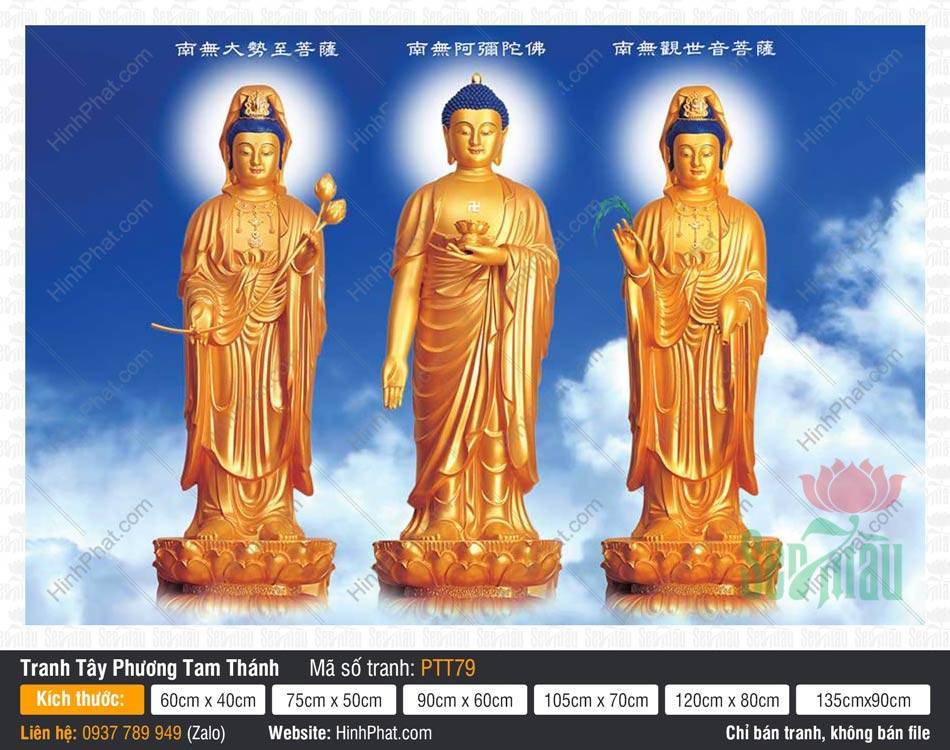 Tranh Tây Phương Tam Thánh PTT79 Tranh Tây Phương Tam Thánh PTT79 với ba tôn tượng sắc vàng kim trên đài sen.