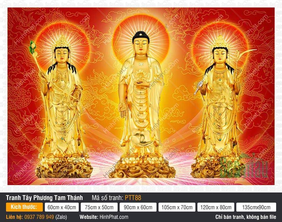 Tranh Tây Phương Tam Thánh PTT88 Tranh Tây Phương Tam Thánh PTT88 ba pho tượng vàng kim ngự trên đài sen nền rồng đỏ
